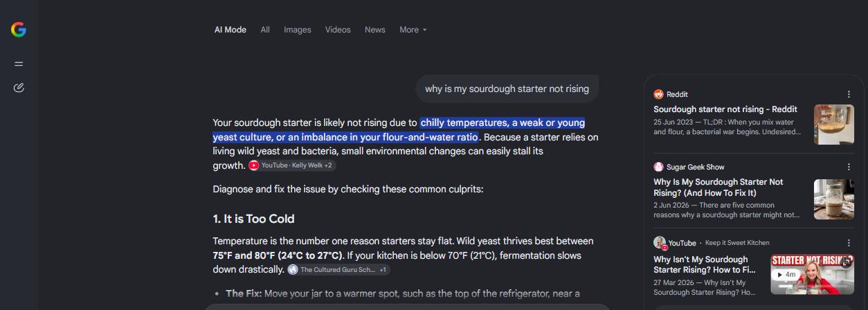Google AI Mode answering the question why a sourdough starter is not rising. The generated answer fills the page with one highlighted sentence and a source chip, and three linked sources stand in a column on the right.